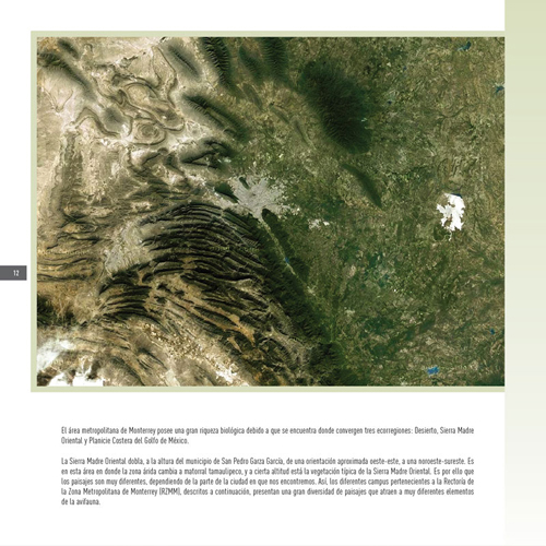 https://3-33.mx/wordpress/wp-content/uploads/2016/01/Habitantes-9.jpg